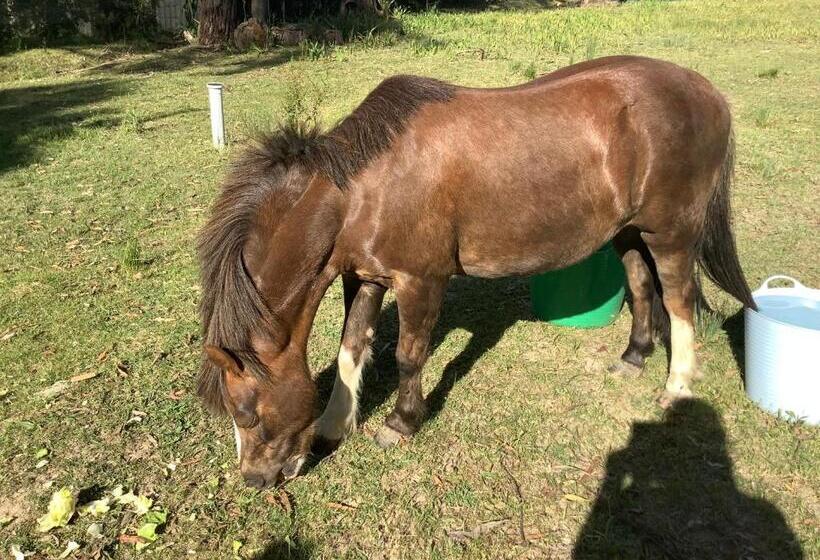 צימר Mijen S Manor