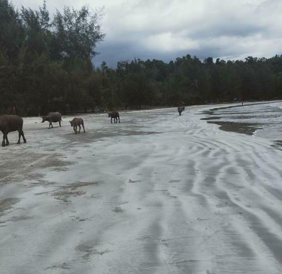 צימר Pondok Oma Iii