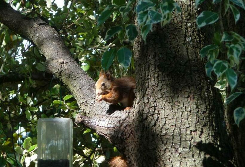 ベッドアンドブレックファースト Santolines En Provence