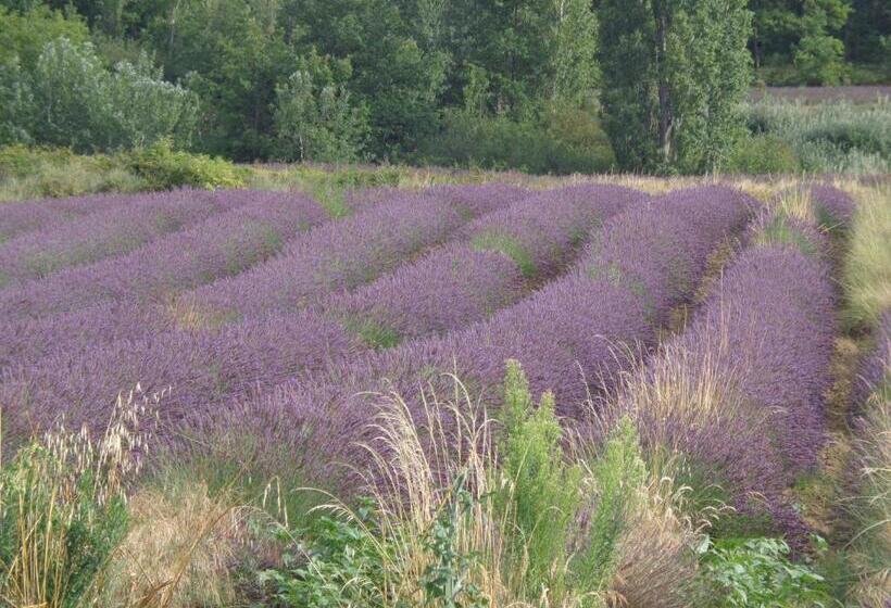 ベッドアンドブレックファースト Santolines En Provence