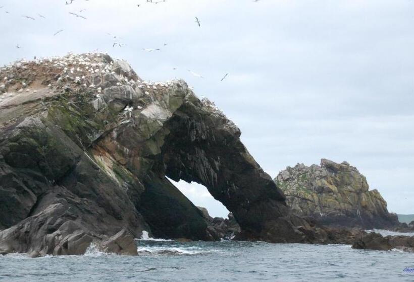 ベッドアンドブレックファースト Villa Bretonne