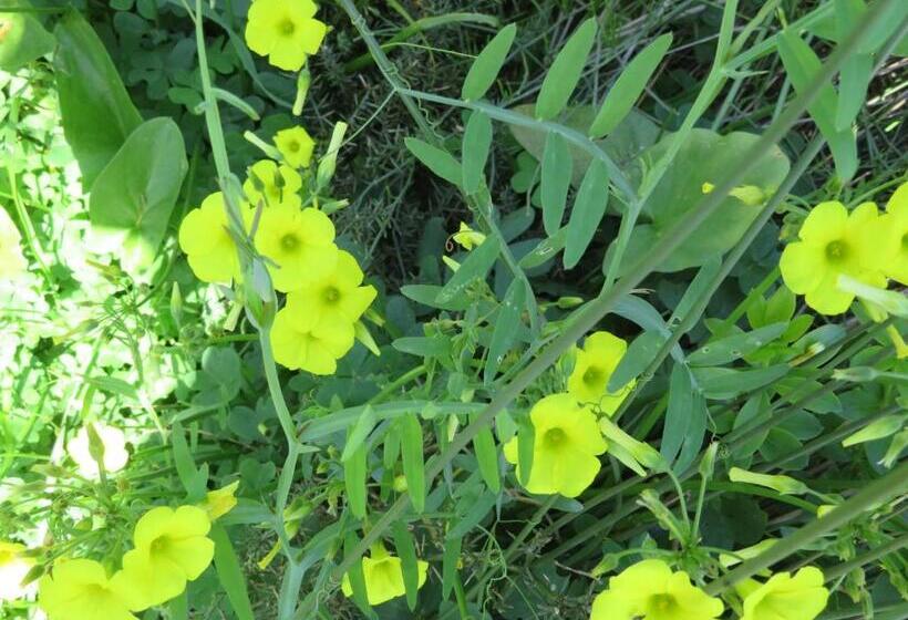 ベッドアンドブレックファースト Villa Bretonne