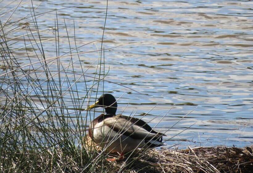 ベッドアンドブレックファースト Villa Bretonne