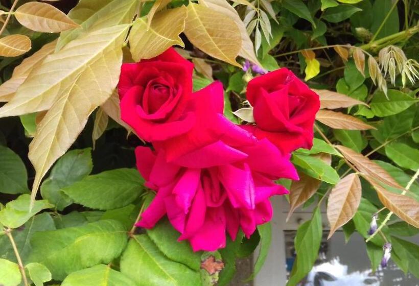 ベッドアンドブレックファースト Villa Bretonne