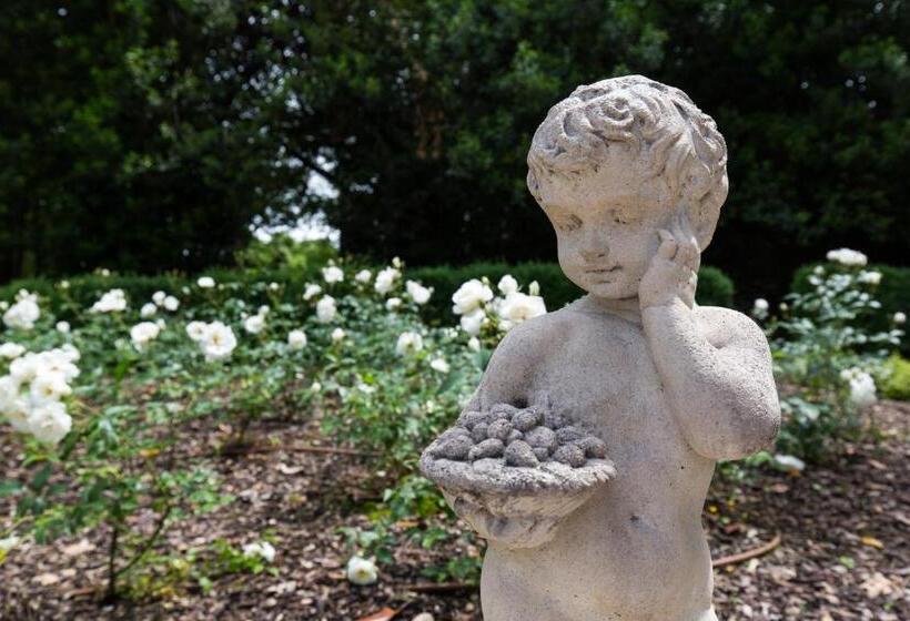 مبيت وإفطار Villa Saccomani