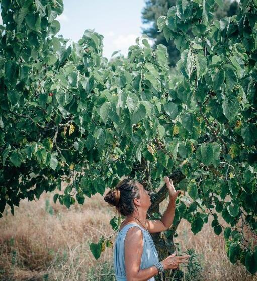 צימר Yours Trulli