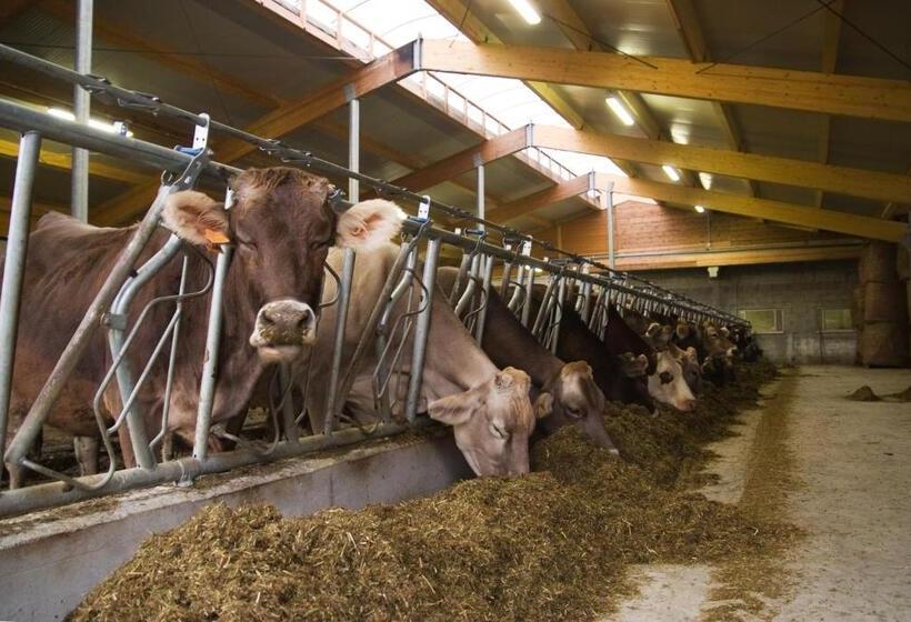 Отель Adda Vegia