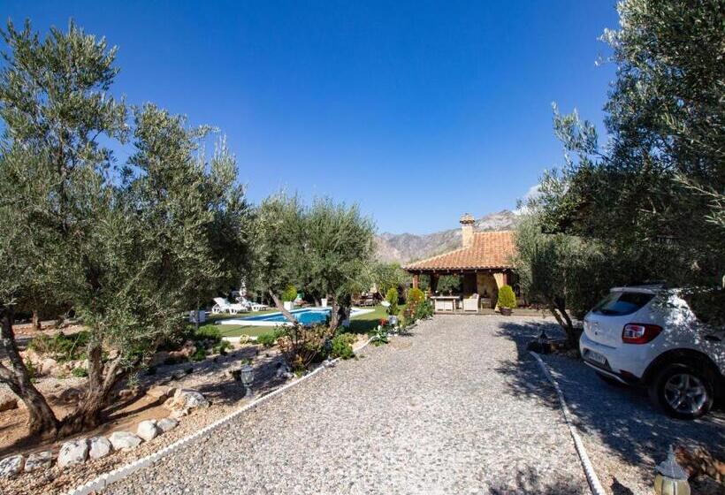 ホテル Bancalillo Redondo