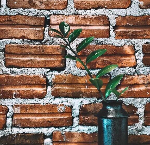 Отель Fineuphome บ้านพักเหมาหลัง 3 ห้องนอน 2 ห้องน้ำ ห้องครัว ห้องรับแขก ห้องรับประทานอาหาร พร้อมสระว่ายน้