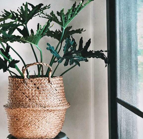 Hôtel Fineuphome บ้านพักเหมาหลัง 3 ห้องนอน 2 ห้องน้ำ ห้องครัว ห้องรับแขก ห้องรับประทานอาหาร พร้อมสระว่ายน้