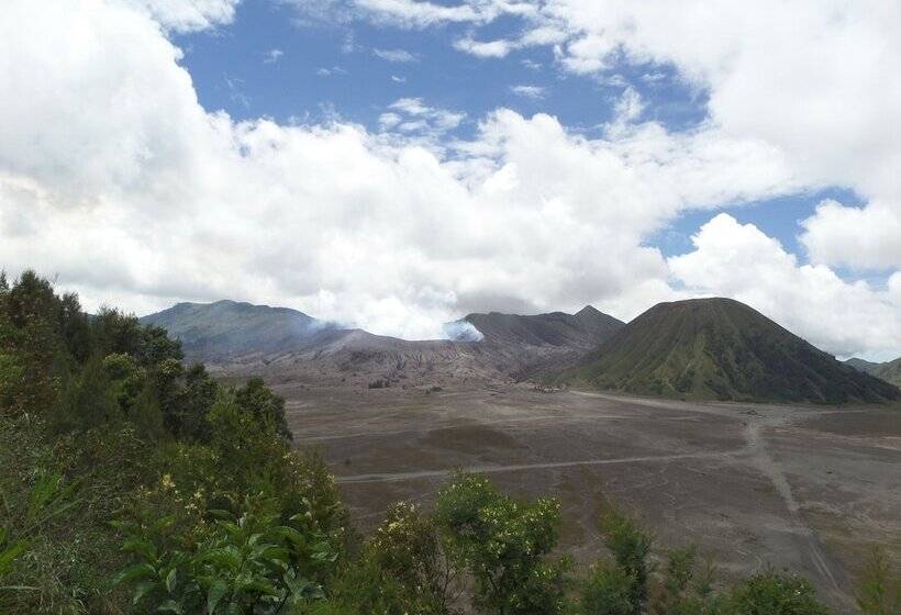 فندق Fredelia Homestay