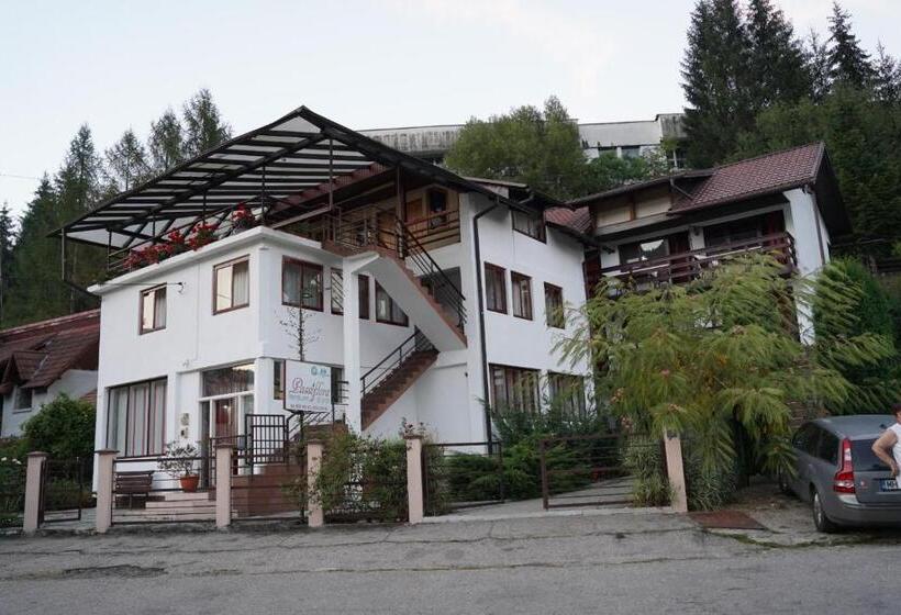 Отель Passiflora