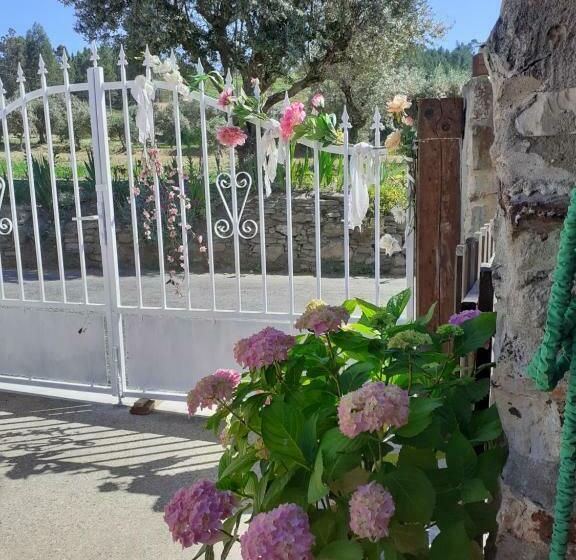 פנסיון Casa Do Trapo