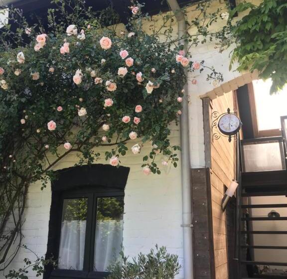 بنسيون Chambres Privées Chez Le Particulier Aéroport Lille Lesquin