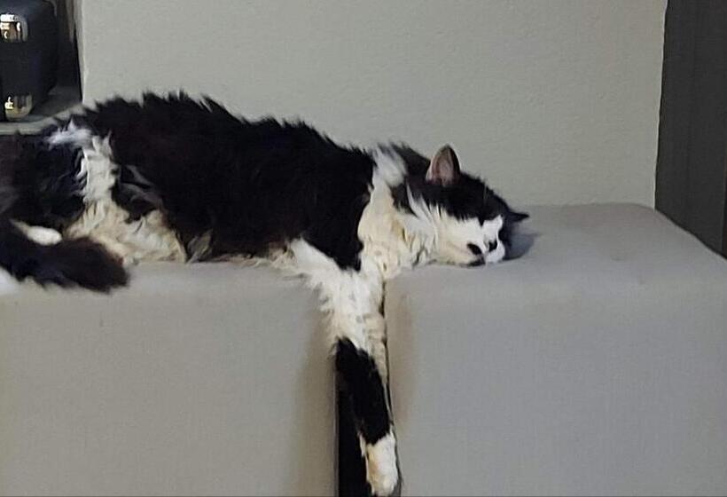 膳宿费 Domaine Sela