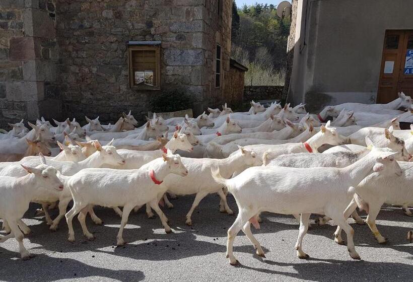 膳宿费 Domaine Sela