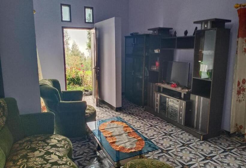 פנסיון Elen Homestay By Abm