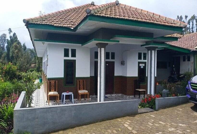 פנסיון Elen Homestay By Abm