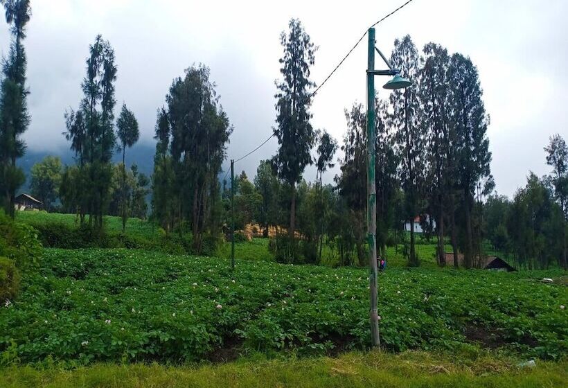 פנסיון Elen Homestay By Abm