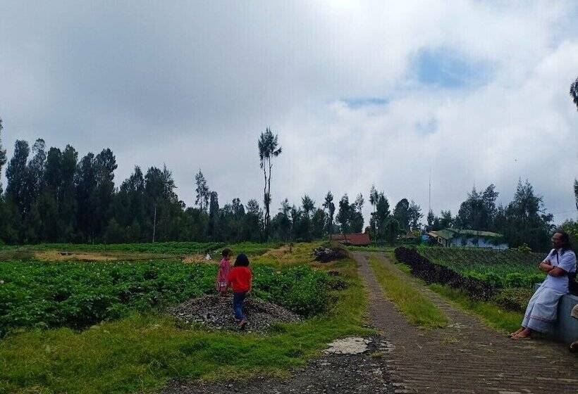 פנסיון Elen Homestay By Abm