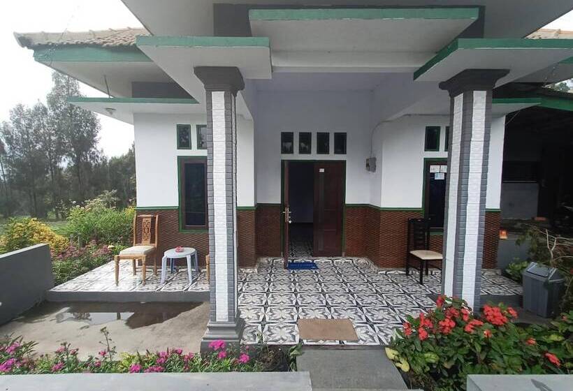 פנסיון Elen Homestay By Abm