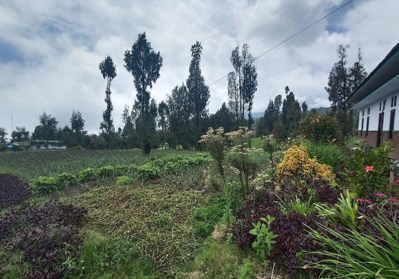 פנסיון Elen Homestay By Abm