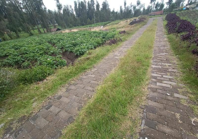 פנסיון Elen Homestay By Abm