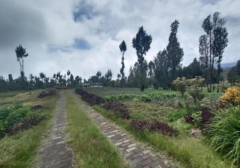 פנסיון Elen Homestay By Abm