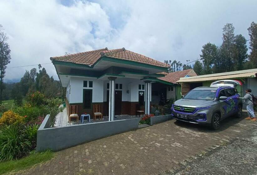 פנסיון Elen Homestay By Abm