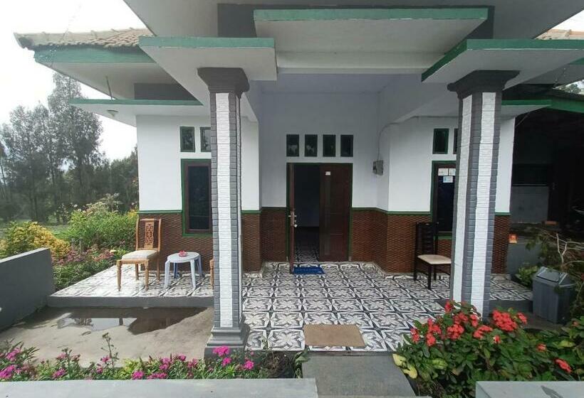 פנסיון Elen Homestay By Abm