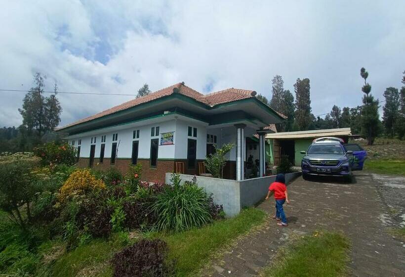 פנסיון Elen Homestay By Abm