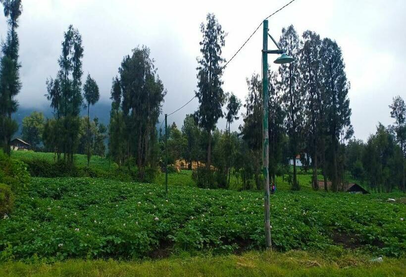 פנסיון Elen Homestay By Abm