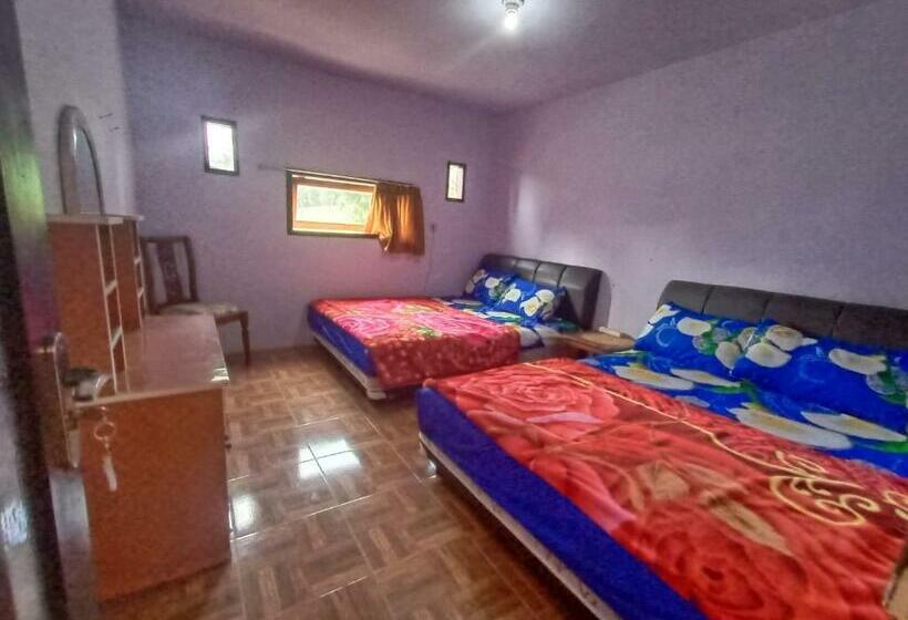 פנסיון Elen Homestay By Abm