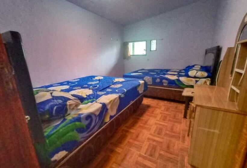 פנסיון Elen Homestay By Abm