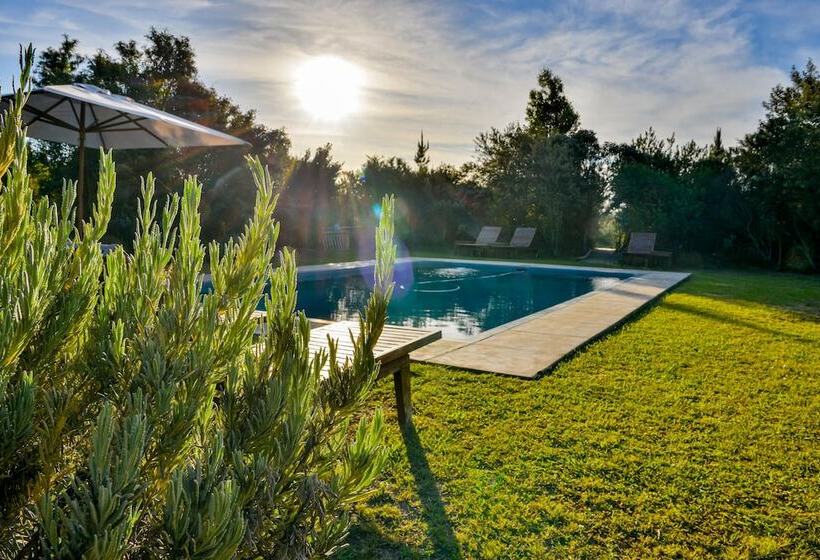 بنسيون Fairview House