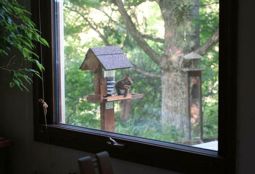 Пансион Guesthouse Coteau Vacation Stay 5450