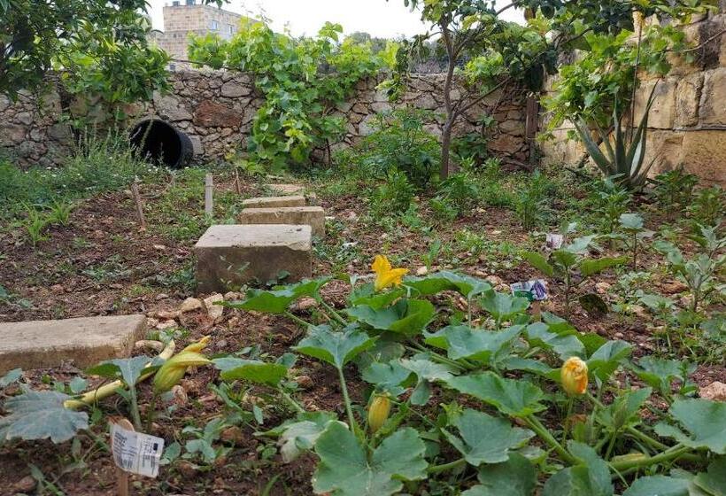 پانسیون Business Accommodation By Happy&healthy Gozo