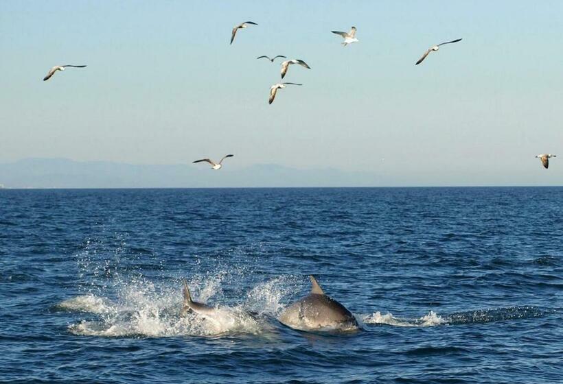 ペンション Hostal El Perelló, Valencia