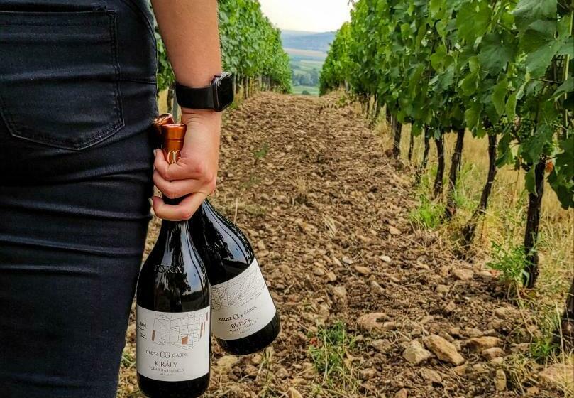 פנסיון Orosz Gábor Vendégház Mád