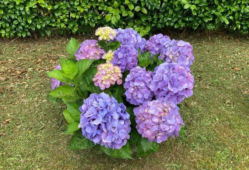 펜션 Quinta Das Palmeiras