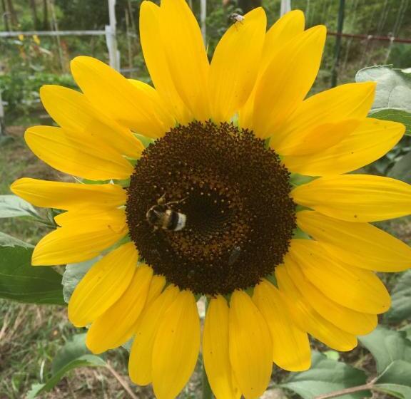 펜션 Quinta Das Palmeiras