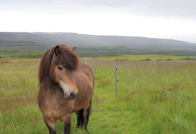 پانسیون Stóri Bakki Guesthouse With Hot Tub