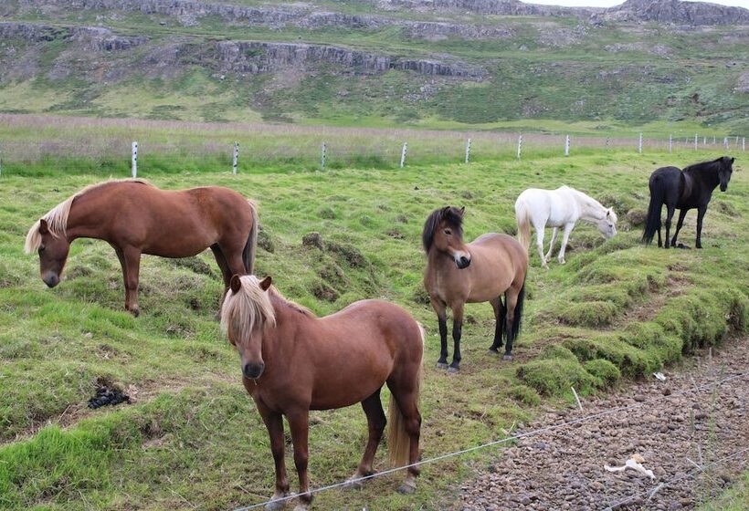 پانسیون Stóri Bakki Guesthouse With Hot Tub