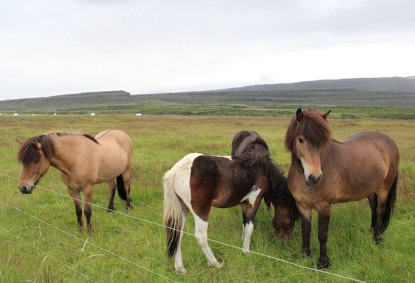 پانسیون Stóri Bakki Guesthouse With Hot Tub