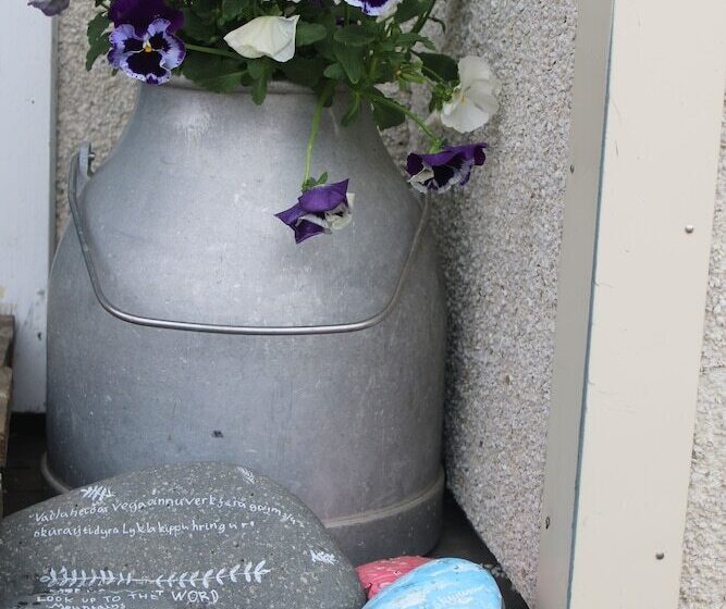 پانسیون Stóri Bakki Guesthouse With Hot Tub