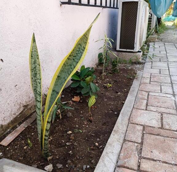 ユースホステル Hostal A 10 Min Del Centro De Veracruz