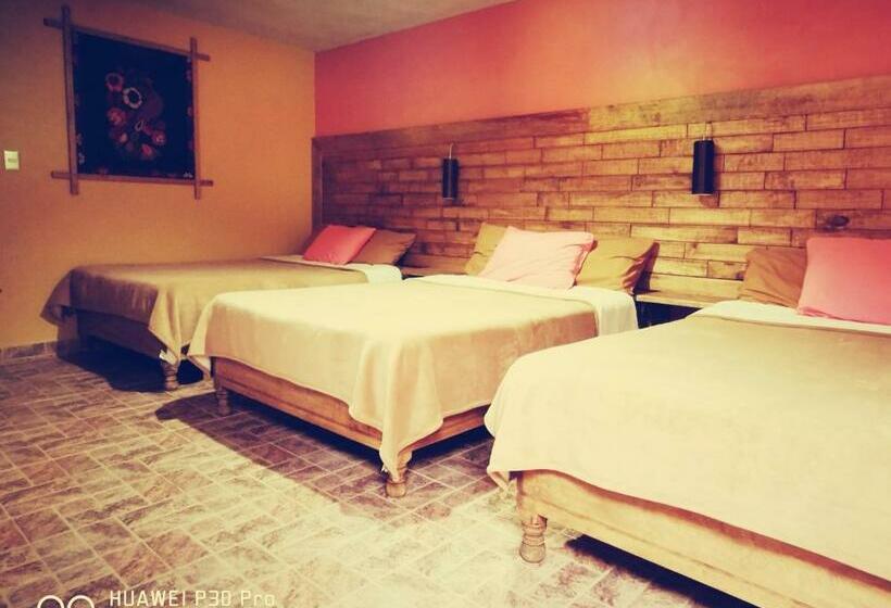 فندق صغير Posada Mi Angel