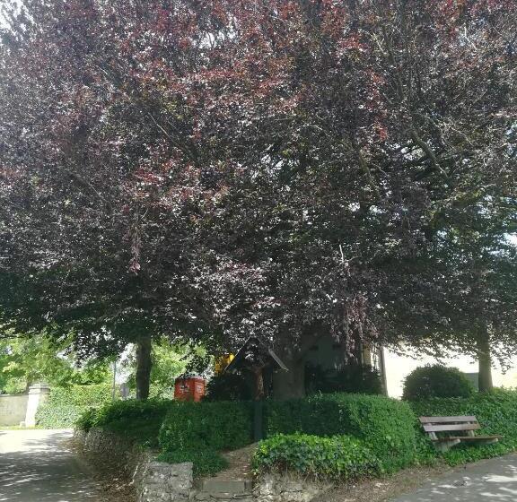 B&b Liberation Margraten