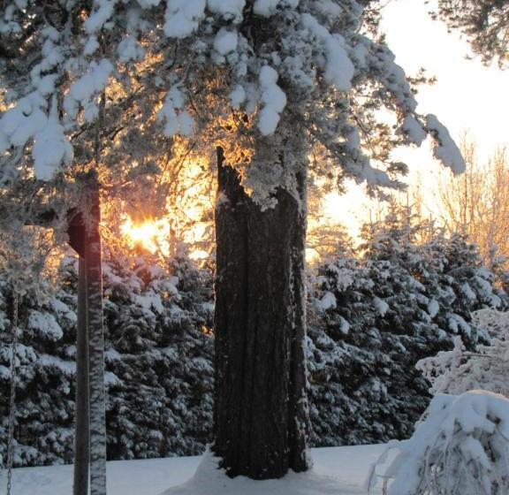 B&b Uniikki Majoitus Maalaisidyllissä