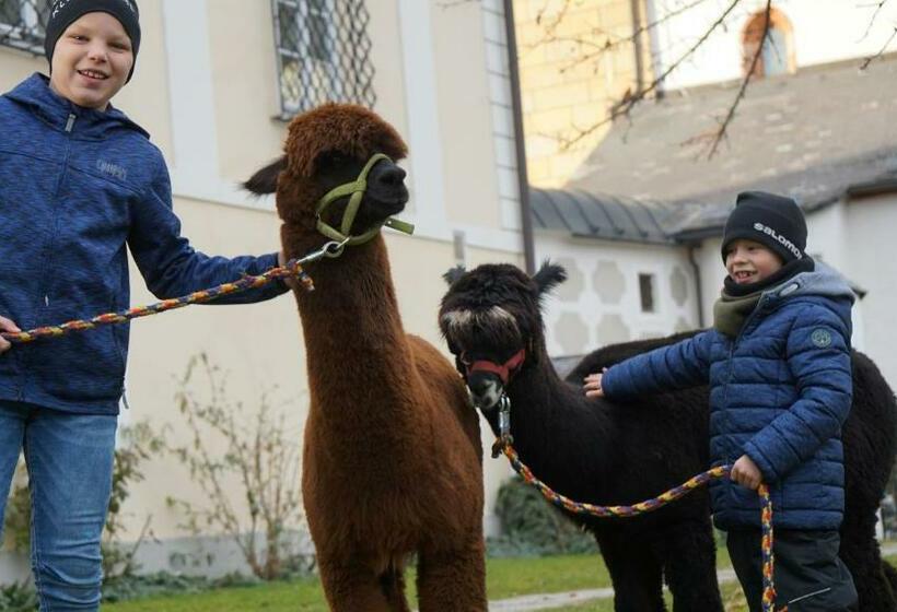 צימר Alpensportlodge